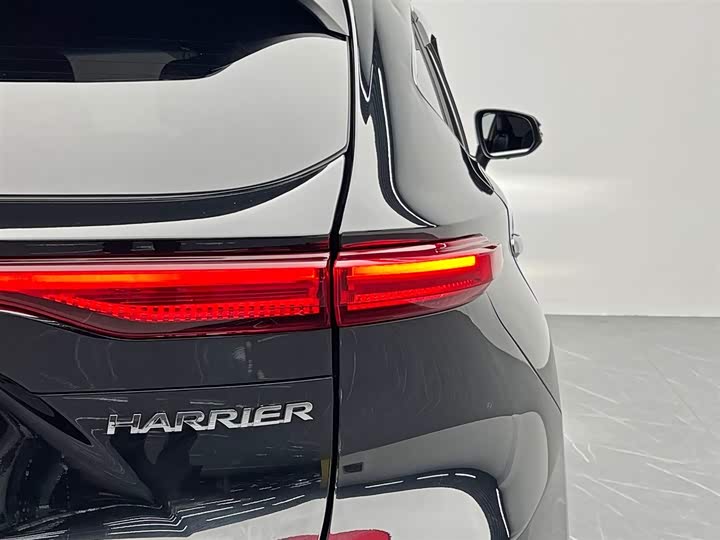 Toyota Harrier 2022 2022款 2.0L CVT两驱进取版