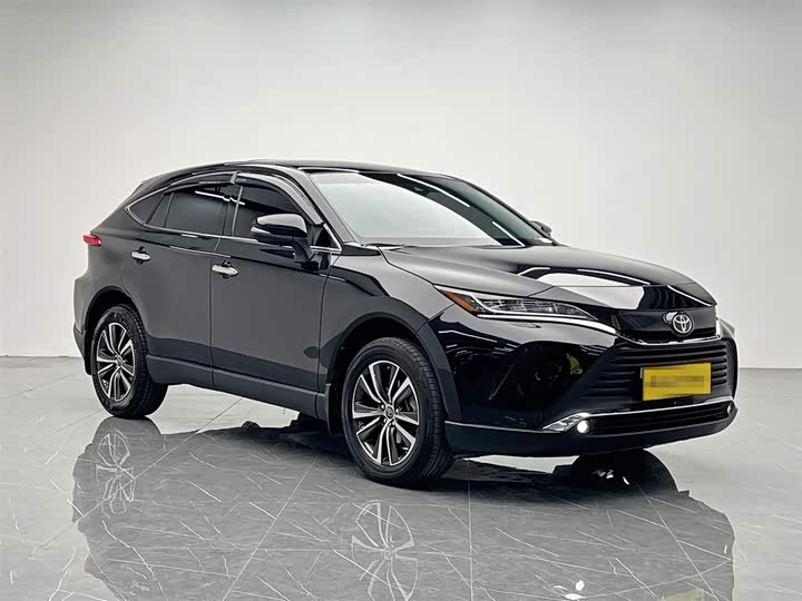 Toyota Harrier 2022 2022款 2.0L CVT两驱进取版