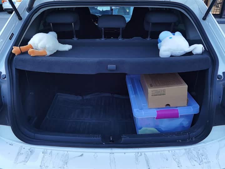 Volkswagen Polo 2023 2023款 Plus 1.5L 自动纵情乐活版