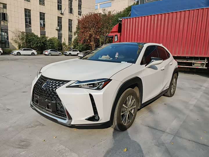 Lexus UX Hybrid 2020 2020款 300e 纯·享版