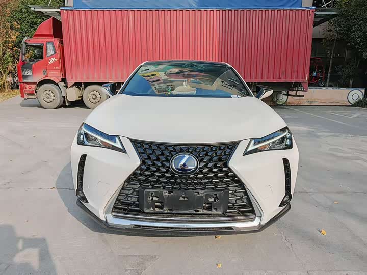 Lexus UX Hybrid 2020 2020款 300e 纯·享版