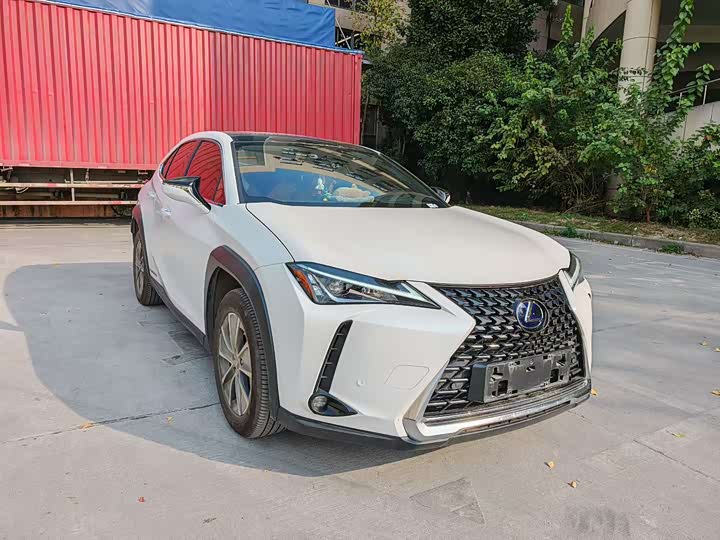 Lexus UX Hybrid 2020 2020款 300e 纯·享版