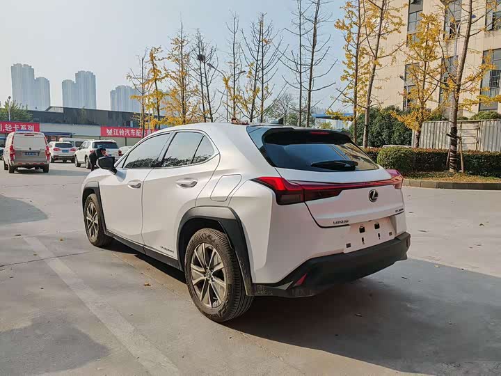 Lexus UX Hybrid 2020 2020款 300e 纯·享版