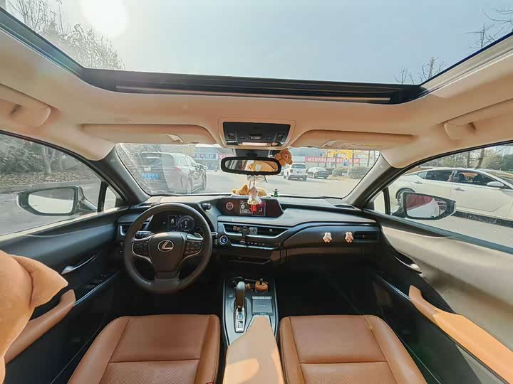 Lexus UX Hybrid 2020 2020款 300e 纯·享版