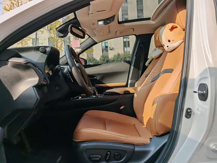 Lexus UX Hybrid 2020 2020款 300e 纯·享版