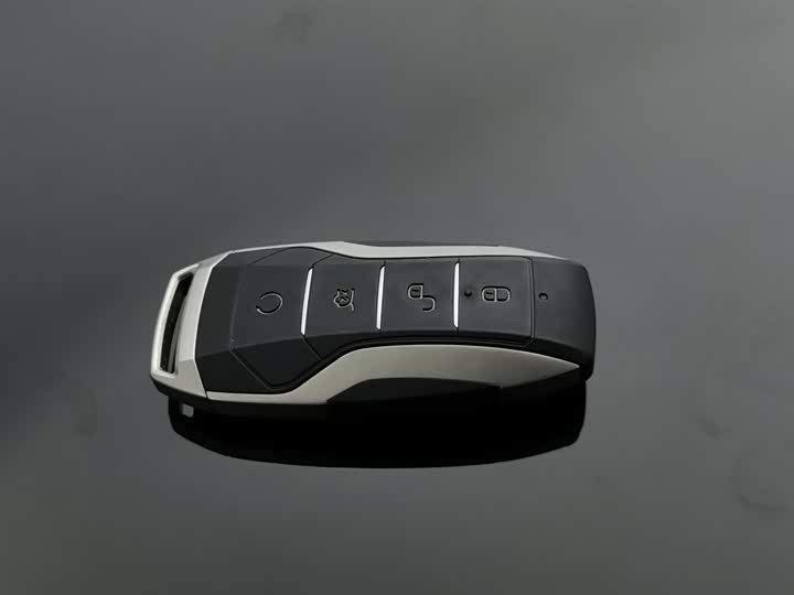 BYD Song Plus 2020 2020款 1.5T 自动尊贵型