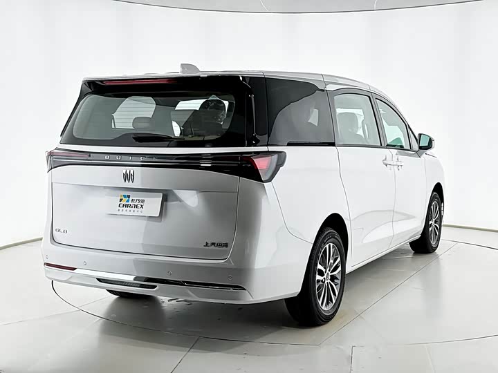 Buick GL8 ES 2025 2025款 陆上公务舱 舒适DG版