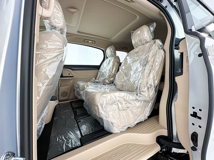 Buick GL8 ES 2025 2025款 陆上公务舱 舒适DG版