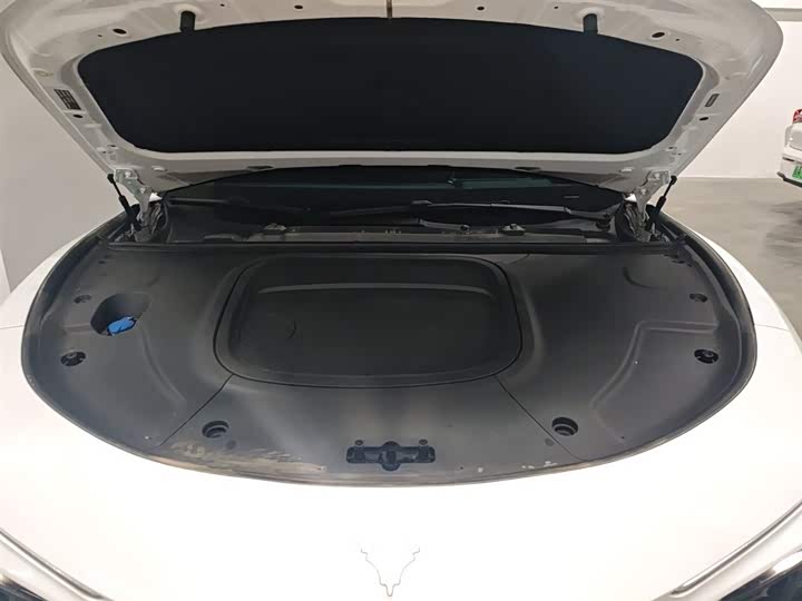 Hozon S Hunting 2024 2024款 增程300 标准版