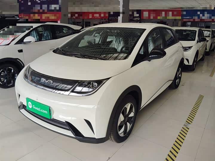BYD Dolphin 2025 2025款 420km 自由版