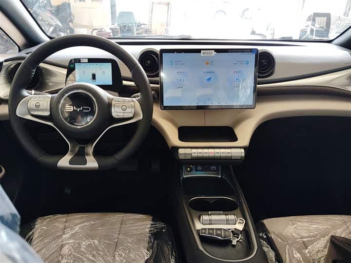 BYD Dolphin 2025 2025款 420km 自由版