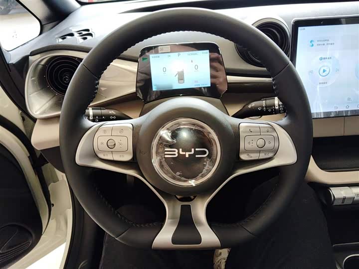 BYD Dolphin 2025 2025款 420km 自由版