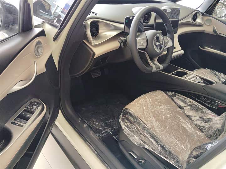 BYD Dolphin 2025 2025款 420km 自由版