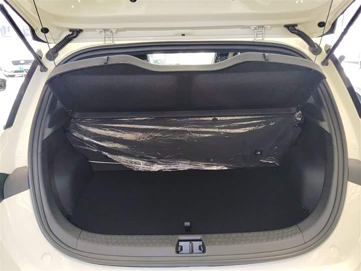 BYD Dolphin 2025 2025款 420km 自由版