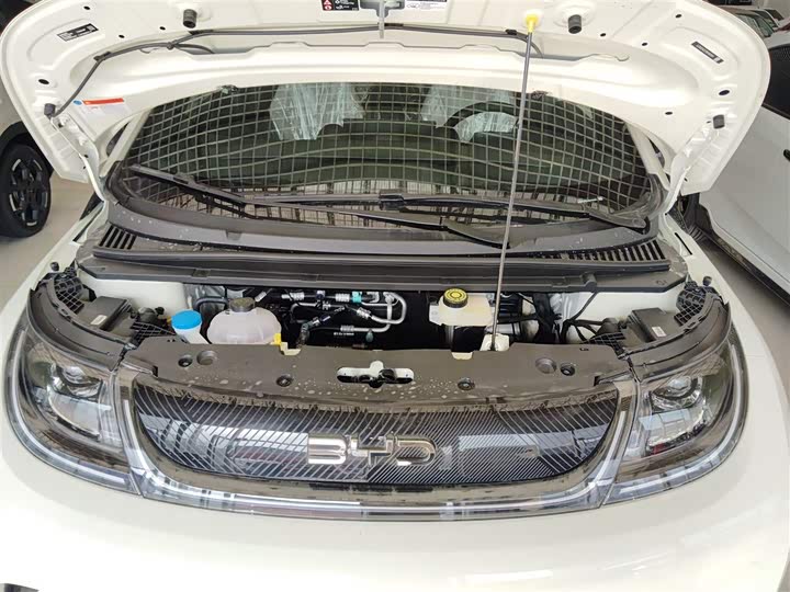 BYD Dolphin 2025 2025款 420km 自由版