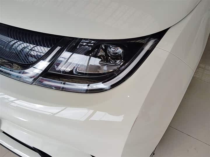 BYD Dolphin 2025 2025款 420km 自由版