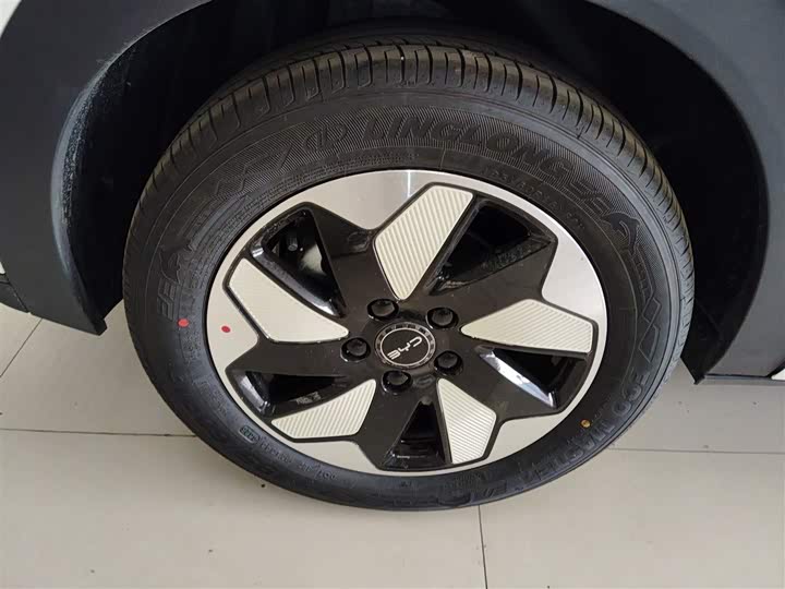 BYD Dolphin 2025 2025款 420km 自由版