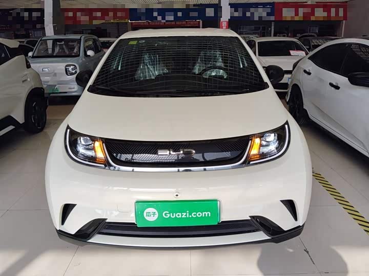 BYD Dolphin 2025 2025款 420km 自由版