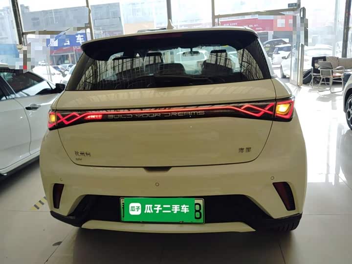 BYD Dolphin 2025 2025款 420km 自由版