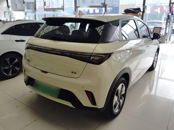 BYD Dolphin 2025 2025款 420km 自由版