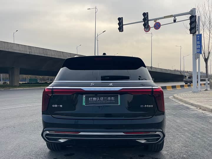 Hongqi E-HS9 2022 2022款 690km 旗享版 六座