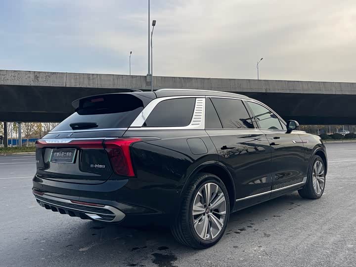 Hongqi E-HS9 2022 2022款 690km 旗享版 六座