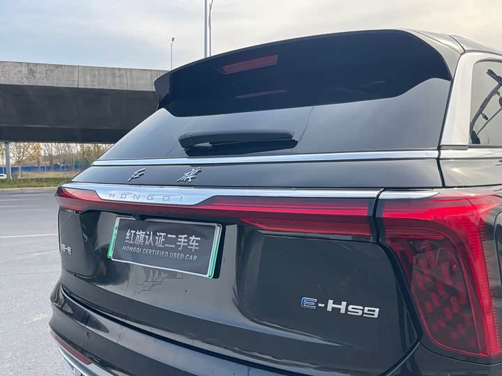 Hongqi E-HS9 2022 2022款 690km 旗享版 六座