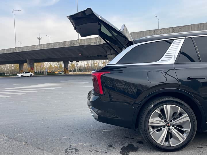 Hongqi E-HS9 2022 2022款 690km 旗享版 六座