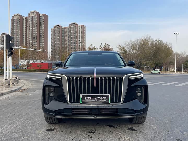 Hongqi E-HS9 2022 2022款 690km 旗享版 六座