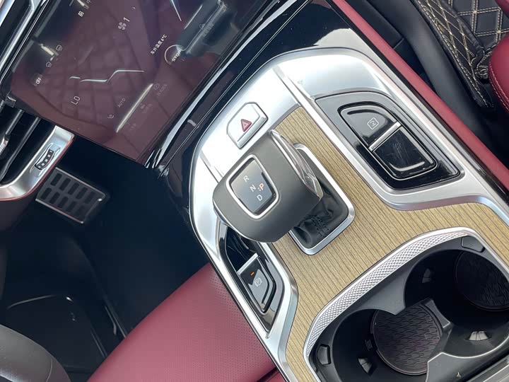 Hongqi E-HS9 2022 2022款 690km 旗享版 六座