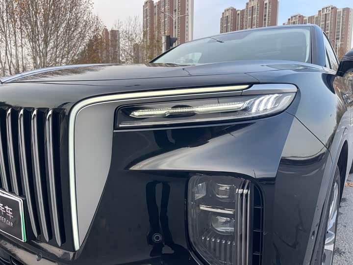 Hongqi E-HS9 2022 2022款 690km 旗享版 六座