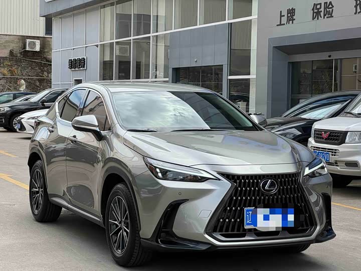 Lexus NX 2023 2023款 260 前驱 创驰版