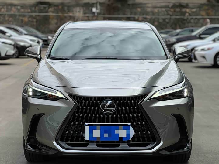 Lexus NX 2023 2023款 260 前驱 创驰版