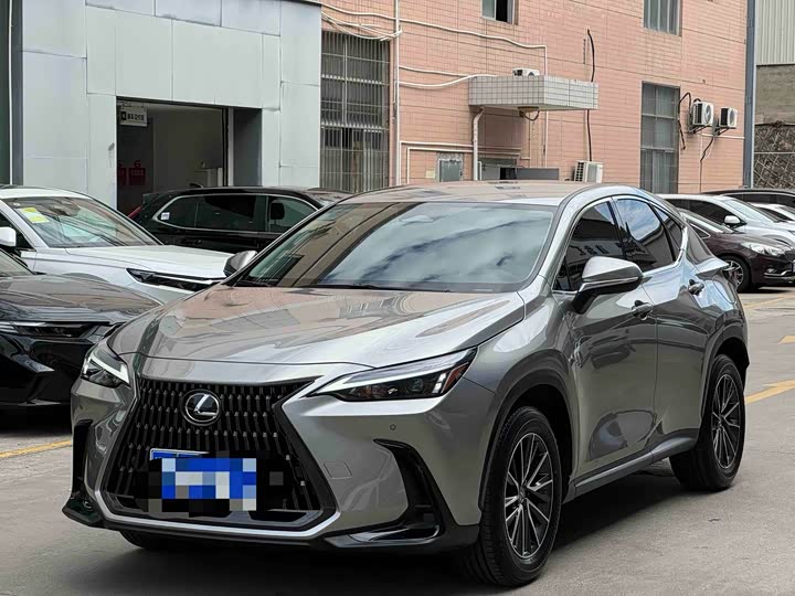 Lexus NX 2023 2023款 260 前驱 创驰版