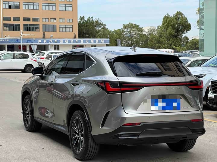 Lexus NX 2023 2023款 260 前驱 创驰版