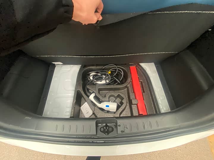 Changan BenBen E-Star 2022 2022款 赏心版 多彩款 磷酸铁锂