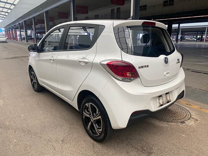 Changan BenBen E-Star 2022 2022款 赏心版 多彩款 磷酸铁锂