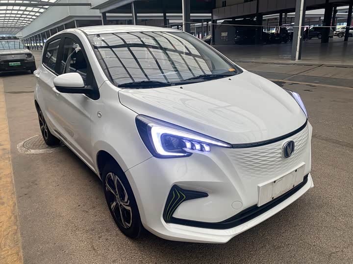 Changan BenBen E-Star 2022 2022款 赏心版 多彩款 磷酸铁锂