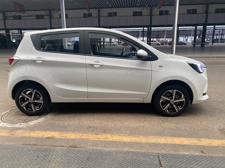 Changan BenBen E-Star 2022 2022款 赏心版 多彩款 磷酸铁锂