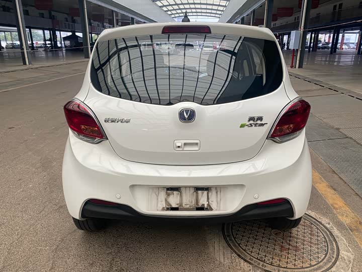 Changan BenBen E-Star 2022 2022款 赏心版 多彩款 磷酸铁锂