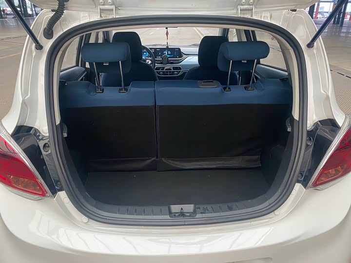 Changan BenBen E-Star 2022 2022款 赏心版 多彩款 磷酸铁锂