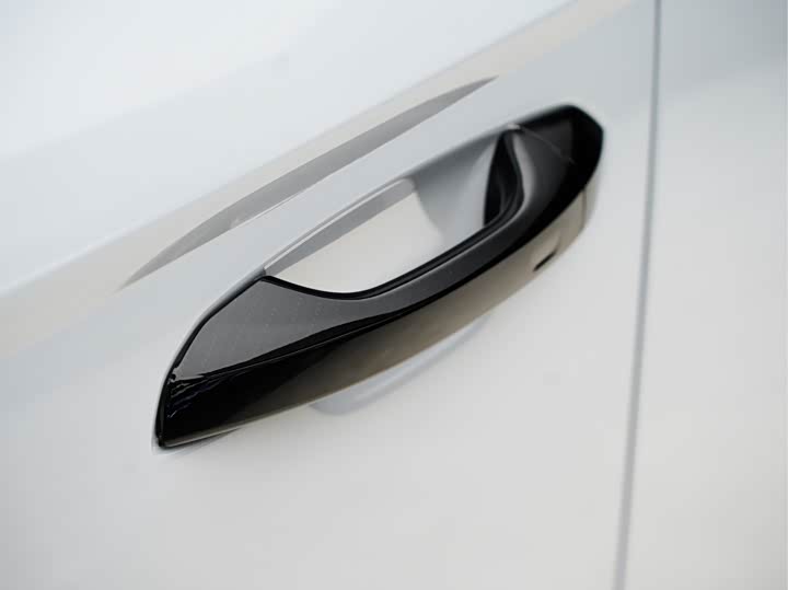 Lamborghini Urus 2023 2023款 4.0T V8 S