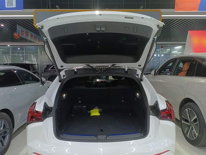 Hozon S Hunting 2024 2024款 增程300 标准版