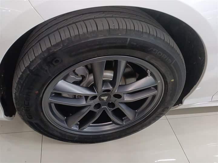 Hozon S Hunting 2024 2024款 增程300 标准版