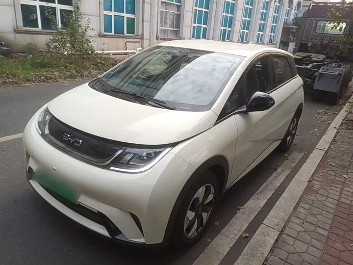 2025 BYD Dolphin