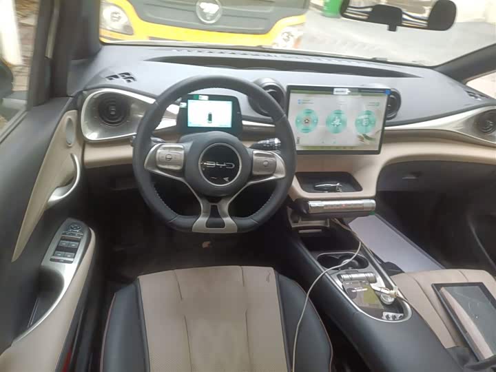 BYD Dolphin 2025 2025款 420km 自由版