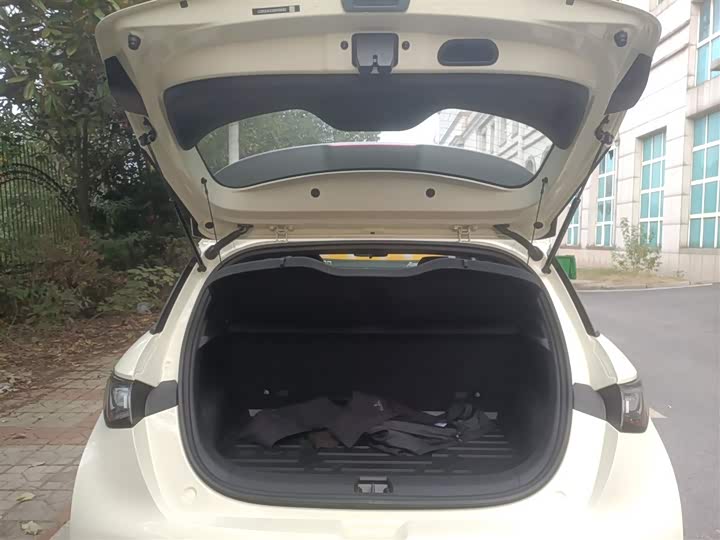 BYD Dolphin 2025 2025款 420km 自由版