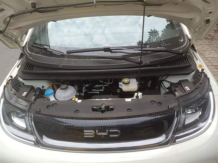 BYD Dolphin 2025 2025款 420km 自由版