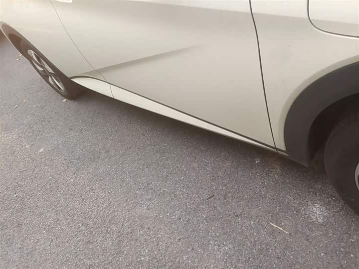 BYD Dolphin 2025 2025款 420km 自由版