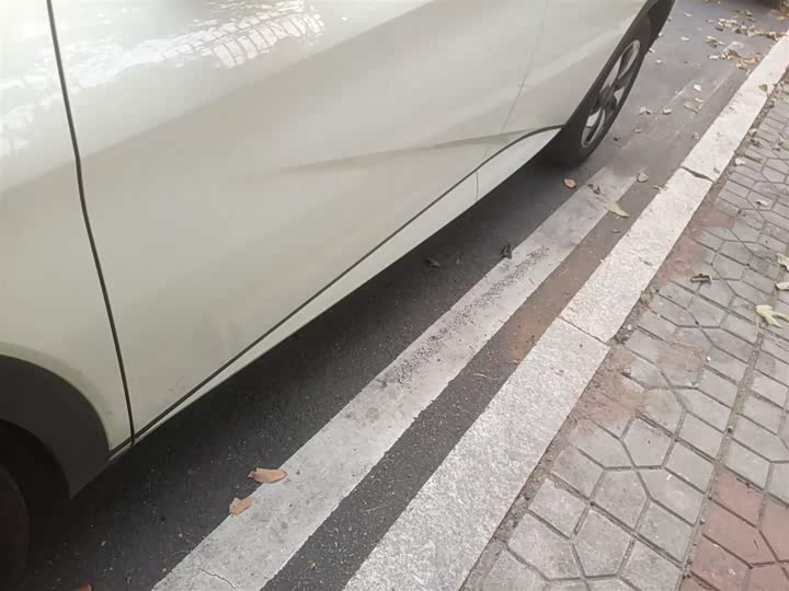 BYD Dolphin 2025 2025款 420km 自由版